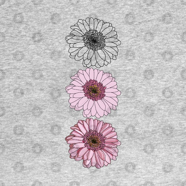 Floral Drawing of Three Gerberas in a Column by ellenhenryart